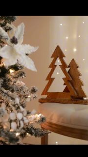 Christmas Mini Sessions $250 - 10 edited pictures